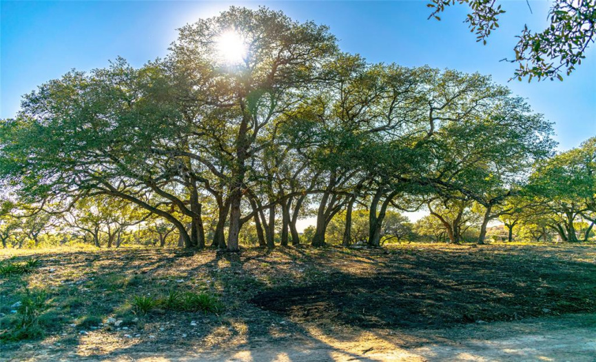 0 281 Highway, Blanco, Texas 78606, ,Land,For Sale,281,ACT4066991