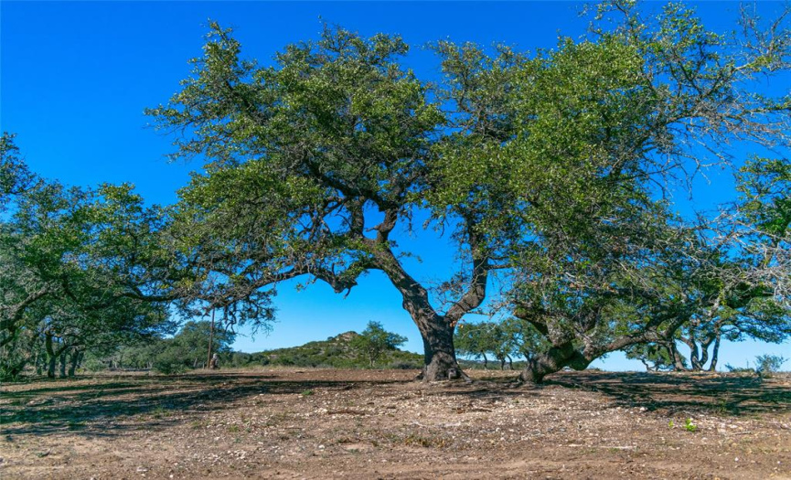 0 281 Highway, Blanco, Texas 78606, ,Land,For Sale,281,ACT4066991