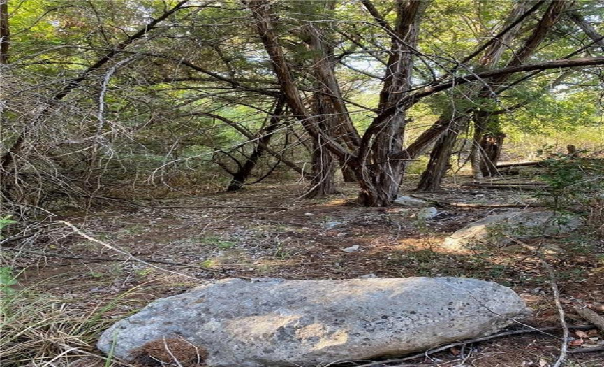 Several large boulders on the property