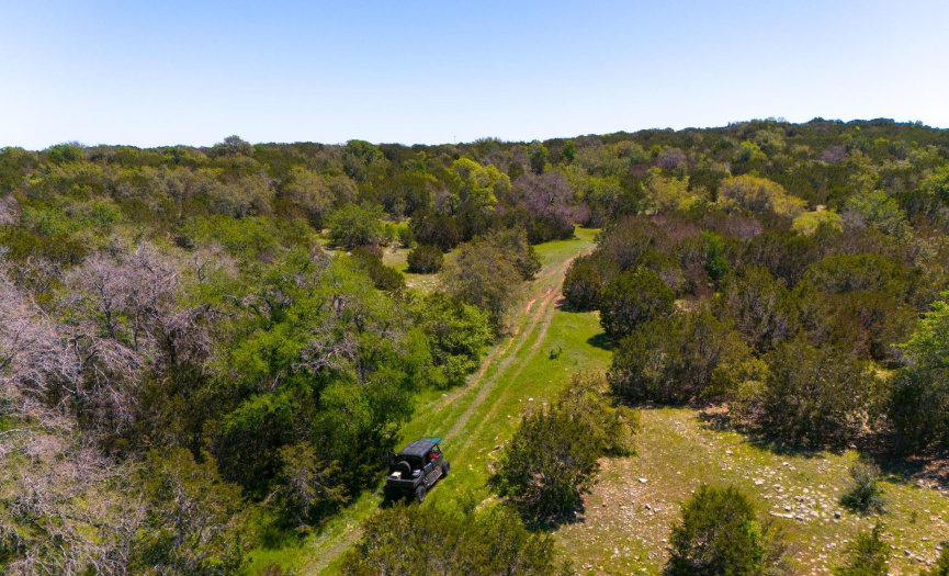 0 County Rd 223, Kempner, Texas 76539, ,Farm,For Sale,County Rd 223,ACT3119244