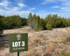 LOT 3 is a beautiful lot partially cleared with a stunning northern and western views. It has amazing oaks with a gentle slope towards over 30+ Acres of protected Green Space.