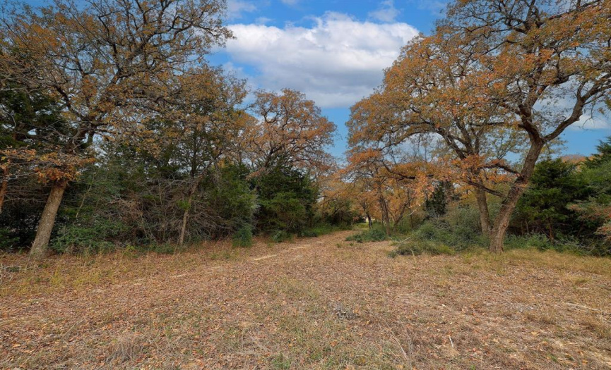1563 County Road 312, Thrall, Texas 76578, ,Land,For Sale,County Road 312,ACT6147139