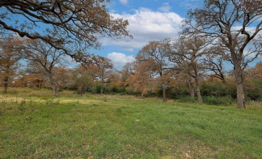 1563 County Road 312, Thrall, Texas 76578, ,Land,For Sale,County Road 312,ACT6147139