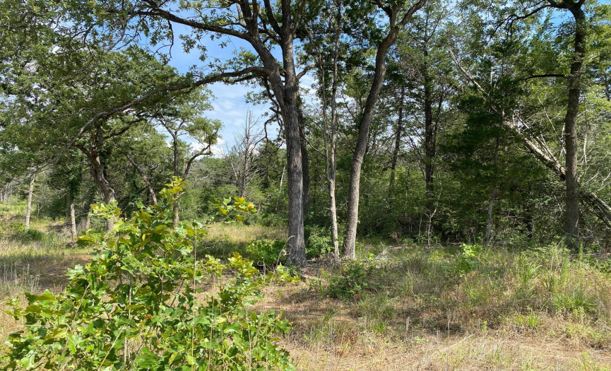 TBD High Crossing Rd - TRACT 7, Smithville, Texas 78957, ,Land,For Sale,High Crossing Rd - TRACT 7,ACT4458299