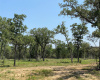 TBD High Crossing Rd - TRACT 7, Smithville, Texas 78957, ,Land,For Sale,High Crossing Rd - TRACT 7,ACT4458299