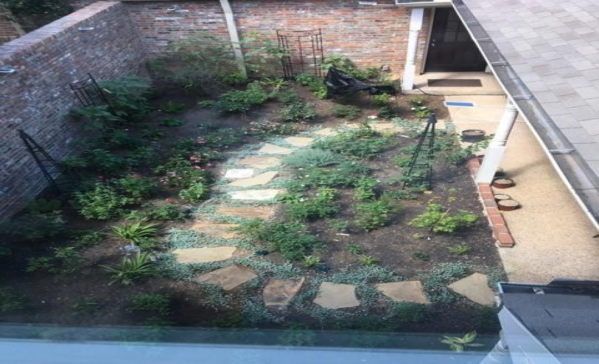 A view down to the courtyard garden from the primary living space.