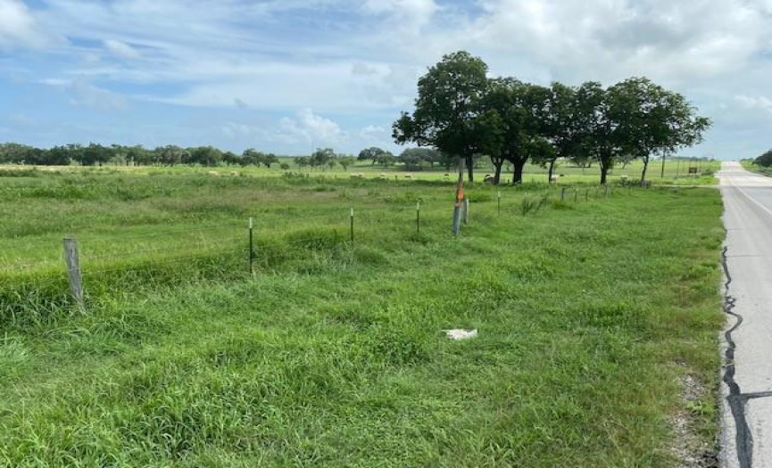 TRACT 7 STATE HWY 95 S, Shiner, Texas 77984, ,Land,For Sale,STATE HWY 95 S,ACT8710423