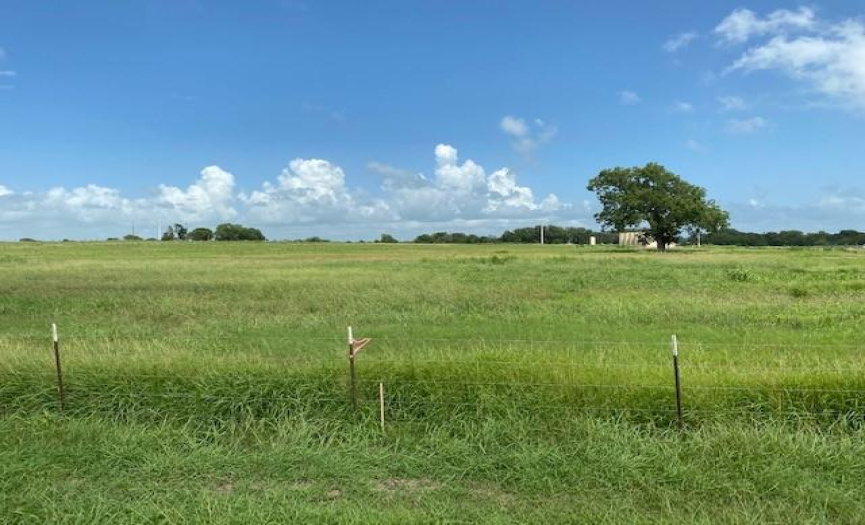 TRACT 7 STATE HWY 95 S, Shiner, Texas 77984, ,Land,For Sale,STATE HWY 95 S,ACT8710423