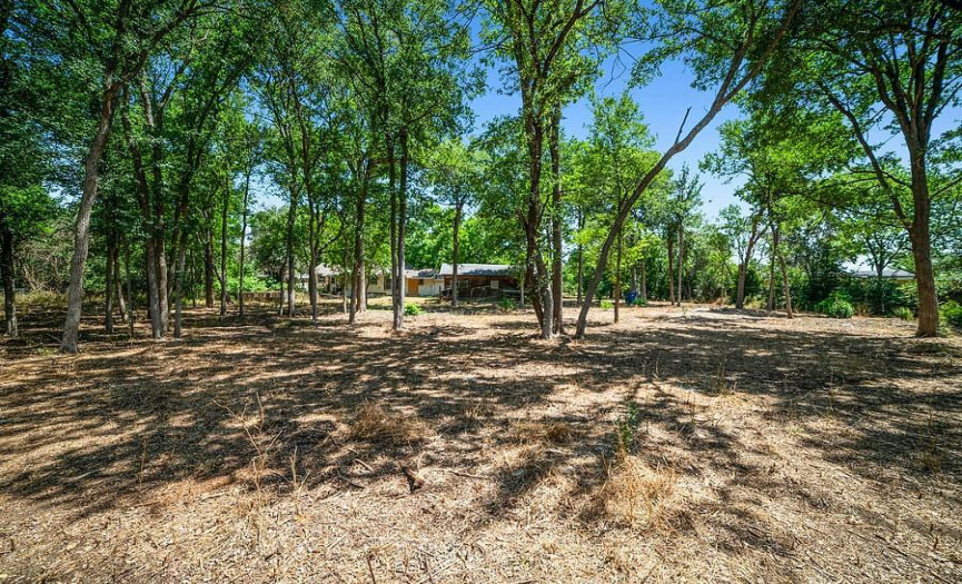 View from back of lot looking at back of the house and garage/shed/workshop. _1 ACRE FOR SALE: 2923 Pecan Springs Rd., Austin, Tx 78723