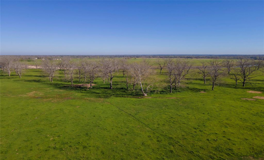 1904 Reese LN, Columbus, Texas 78934, 3 Bedrooms Bedrooms, ,3 BathroomsBathrooms,Farm,For Sale,Reese,ACT4769024