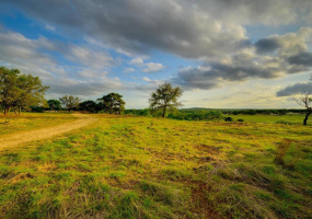 Welcome to Mesa Del Arroyo -- 28+ incredible acres with panoramic views and less than 3 miles to DT Dripping Springs!