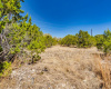 LOT 71 Cliff DR, Spring Branch, Texas 78070, ,Land,For Sale,Cliff,ACT7059021