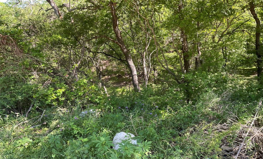 4209 Imperial DR, Austin, Texas 78725, ,Land,For Sale,Imperial,ACT9841021