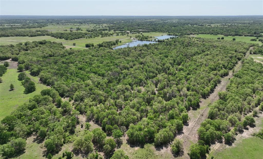 0 County Road 119, Ledbetter, Texas 78946, ,Farm,For Sale,County Road 119,ACT9963138