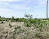 LOT 177 Three Creeks DR, Bertram, Texas 78605, ,Land,For Sale,Three Creeks,ACT3947061