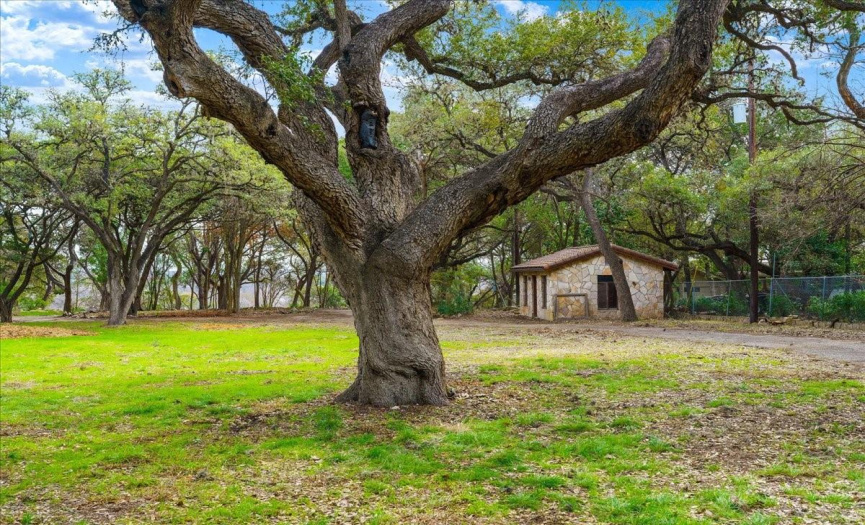 Oh the stories this ancient oak tree in the front yard could tell! The small shed was once used as a play house with a pool table, dart boards and other games.