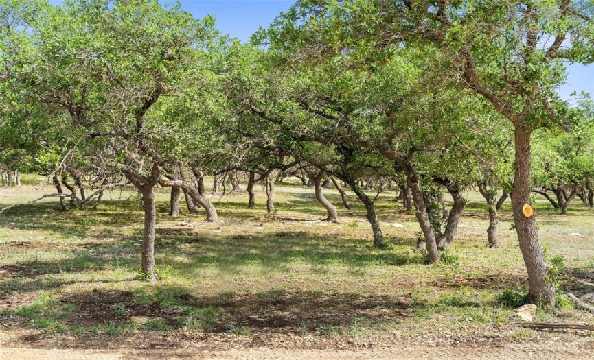 Tract 12 Redbud Ranch RD, Johnson City, Texas 78636, ,Land,For Sale,Redbud Ranch,ACT4400090