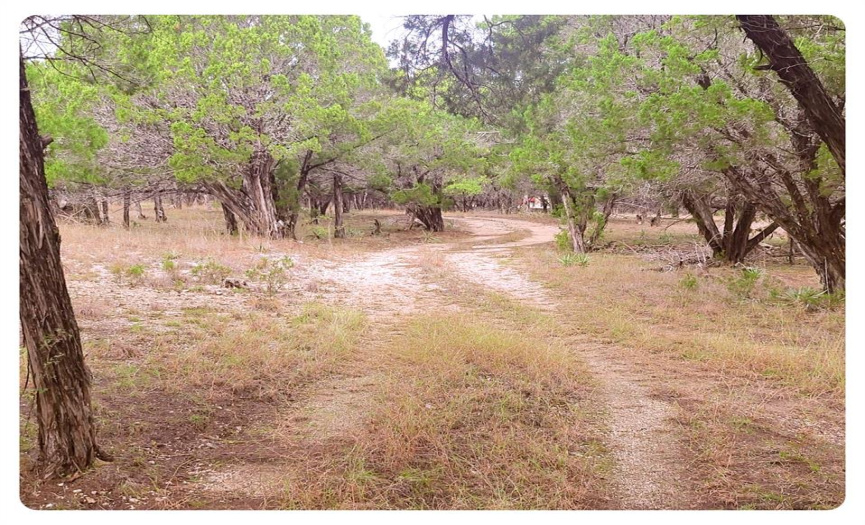 00 Lakeside DR, Harker Heights, Texas 76548, ,Land,For Sale,Lakeside,ACT5516944