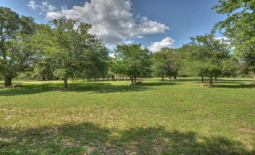 3535 Fm 150, Kyle, Texas 78640, 4 Bedrooms Bedrooms, ,3 BathroomsBathrooms,Residential,For Sale,Fm 150,ACT3989455