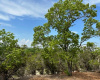 00 Glory LN, Leander, Texas 78641, ,Land,For Sale,Glory,ACT5559474
