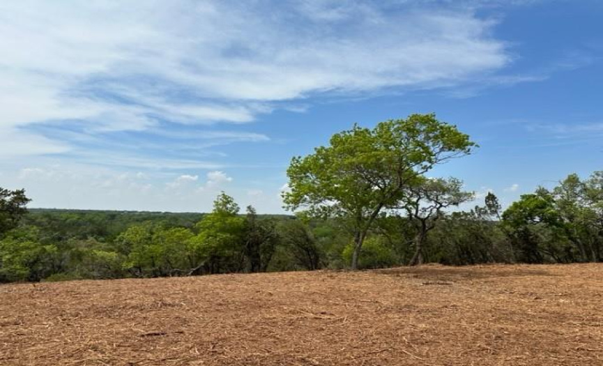 00 Glory LN, Leander, Texas 78641, ,Land,For Sale,Glory,ACT5559474