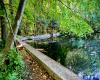 Stephenson Nature Preserve Pond