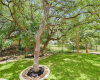 Back yard views of nature abound with an adjoining Sun City greenbelt.