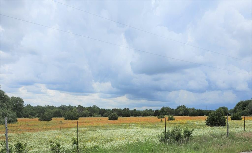 TBD County Road 251 RD, Georgetown, Texas 78633, ,Land,For Sale,County Road 251,ACT1758114