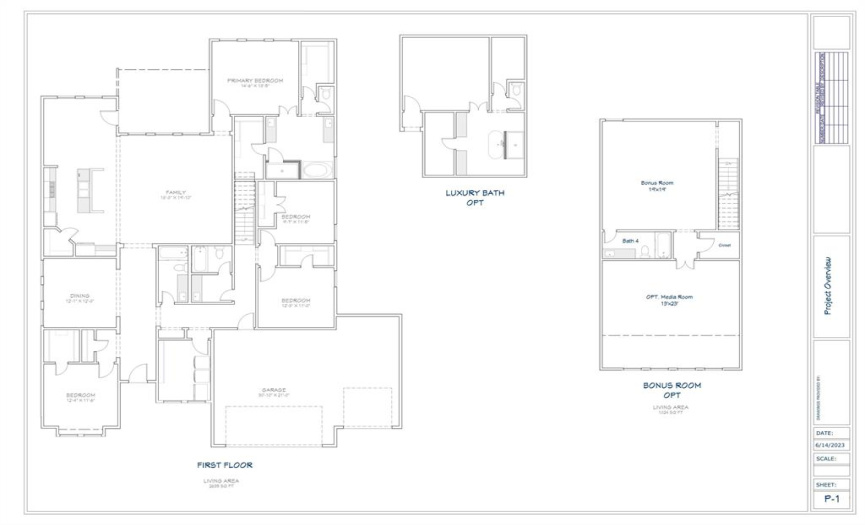Layout of the house. The bonus room, media room and Luxury Master bath have all been added.