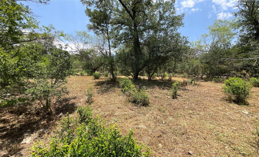 435 Paleface Point DR, Spicewood, Texas 78669, ,Land,For Sale,Paleface Point,ACT3307694
