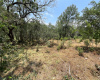 435 Paleface Point DR, Spicewood, Texas 78669, ,Land,For Sale,Paleface Point,ACT3307694