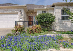 Just look at this front yard in bloom! Bluebonnets in the spring and your flowers year round.