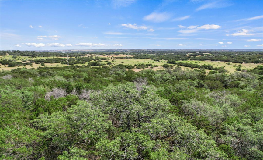13901 Ranch Road 2338, Georgetown, Texas 78633, ,Farm,For Sale,Ranch Road 2338,ACT6285461
