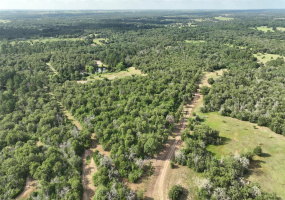 Beautiful 90 acres in La Grange, TX