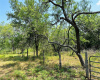 TBD SNEED LN, Dale, Texas 78616, ,Land,For Sale,SNEED,ACT3464118