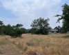 110 Stately Oak DR, Georgetown, Texas 78628, ,Land,For Sale,Stately Oak,ACT9687388