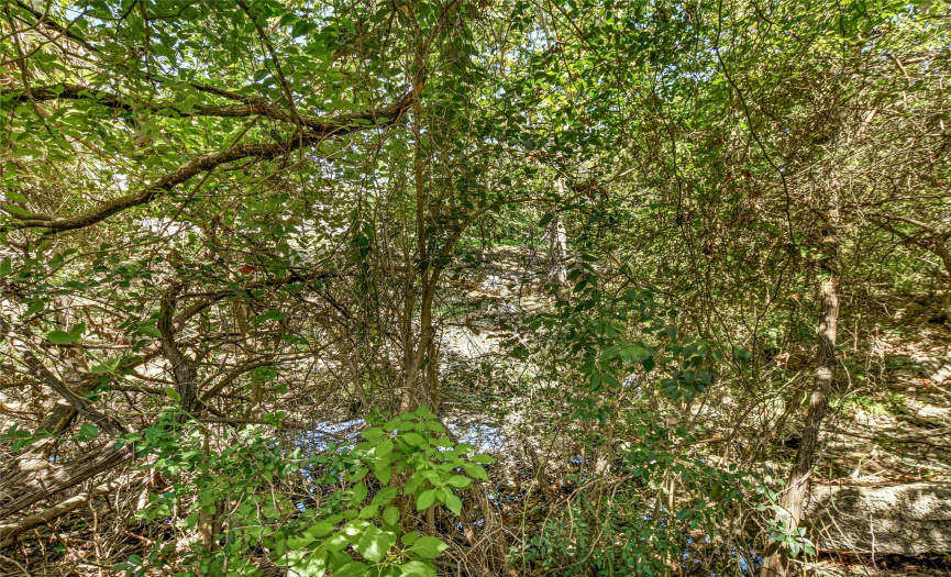 The entire back and side yard is surrounded by lush trees lining the banks of Yaupon Creek. Listen to nature and the quiet sounds of the creek flowing along this amazing property.