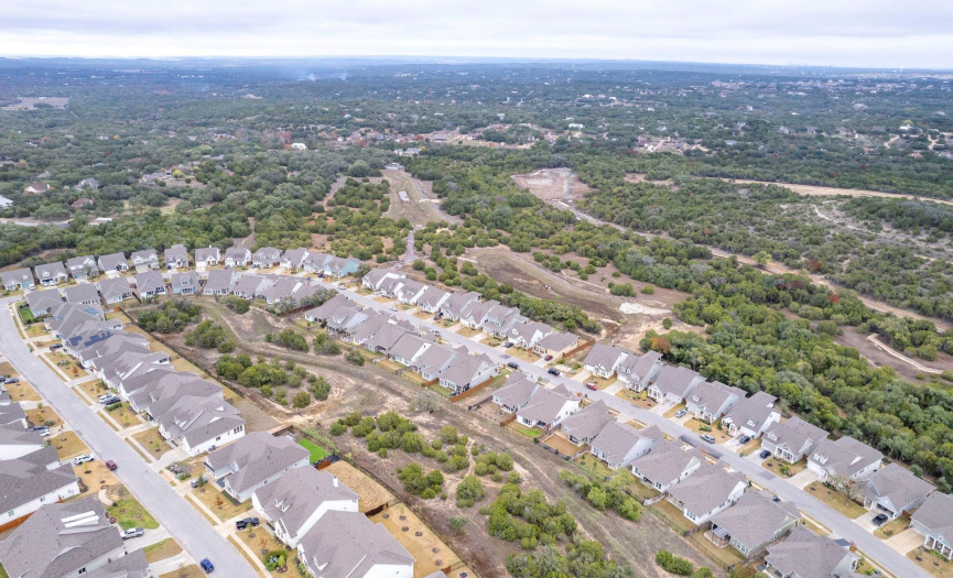 Aerial view of the green space and neighborhood.