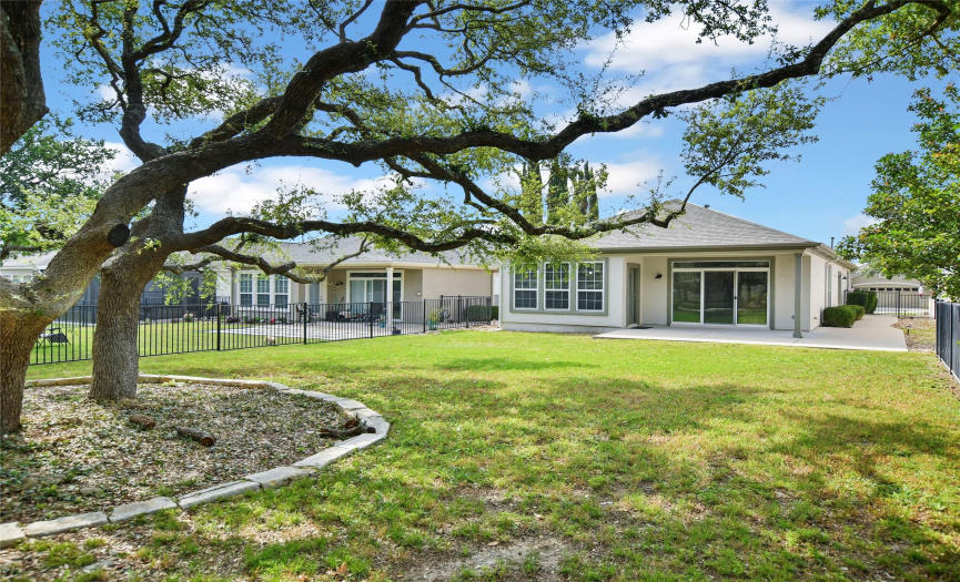 Mature Texas Live Oak trees provide a picture frame view of the back of the home.