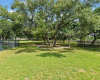 Towering Texas Live Oak trees offer beauty and shade across the back property line with open greenspace buffering beyond.