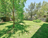 Large, open space, plenty of trees and new, quality fencing all around!