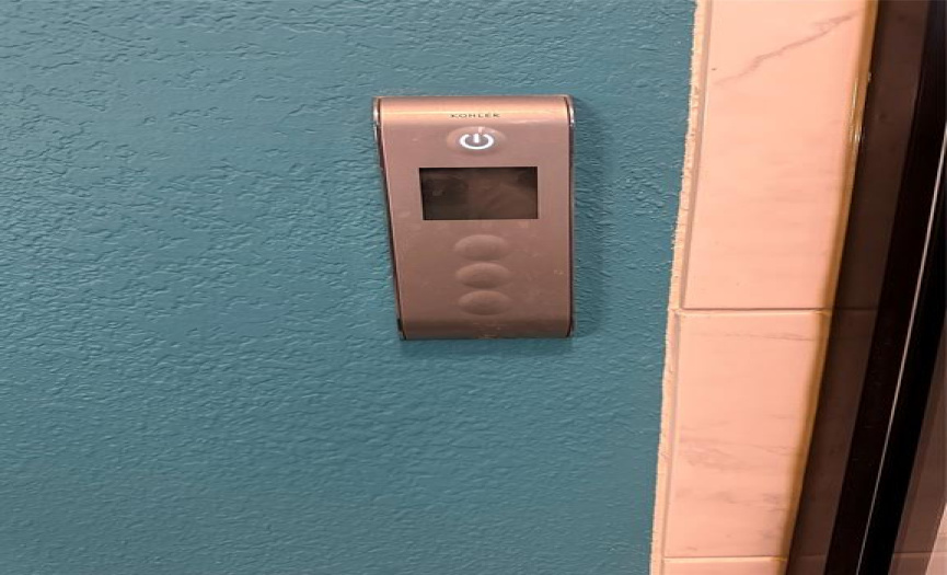 Electric Master Bathroom Shower controls