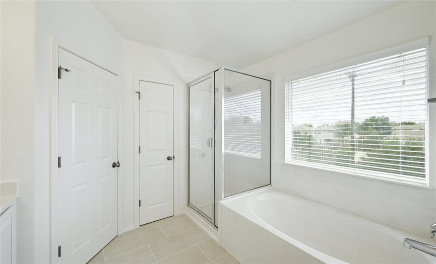 water closet and walk in shower