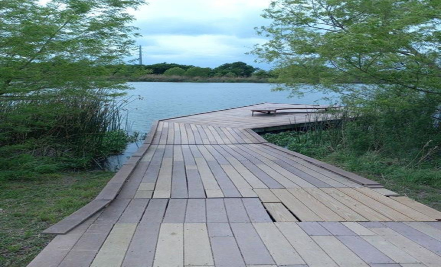 Hutto Lake Park Fishing dock