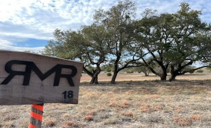 2078 Ranch Road 962 LOT 18 RD, Round Mountain, Texas 78663, ,Land,For Sale,Ranch Road 962 LOT 18,ACT9555982