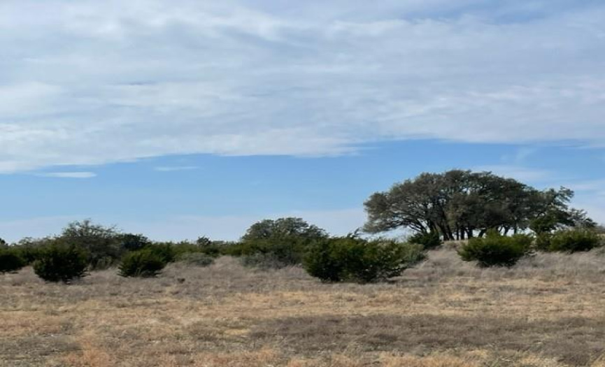 2078 Ranch Road 962 LOT 18 RD, Round Mountain, Texas 78663, ,Land,For Sale,Ranch Road 962 LOT 18,ACT9555982