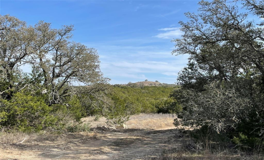 2078 Ranch Road 962, LOT 26 RD, Round Mountain, Texas 78663, ,Land,For Sale,Ranch Road 962, LOT 26,ACT2783950