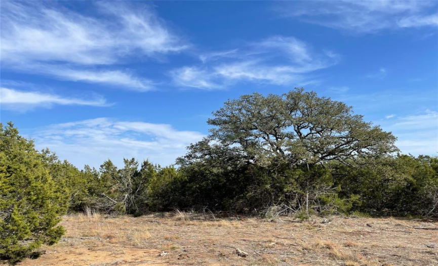 2078 Ranch Road 962, LOT 26 RD, Round Mountain, Texas 78663, ,Land,For Sale,Ranch Road 962, LOT 26,ACT2783950