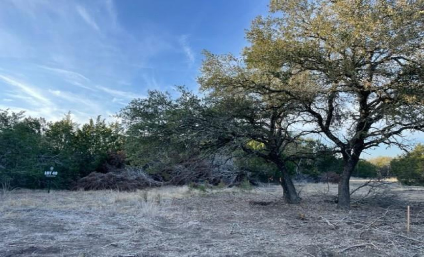 2078 Ranch Road 962 LOT 40 RD, Round Mountain, Texas 78663, ,Land,For Sale,Ranch Road 962 LOT 40,ACT3352251