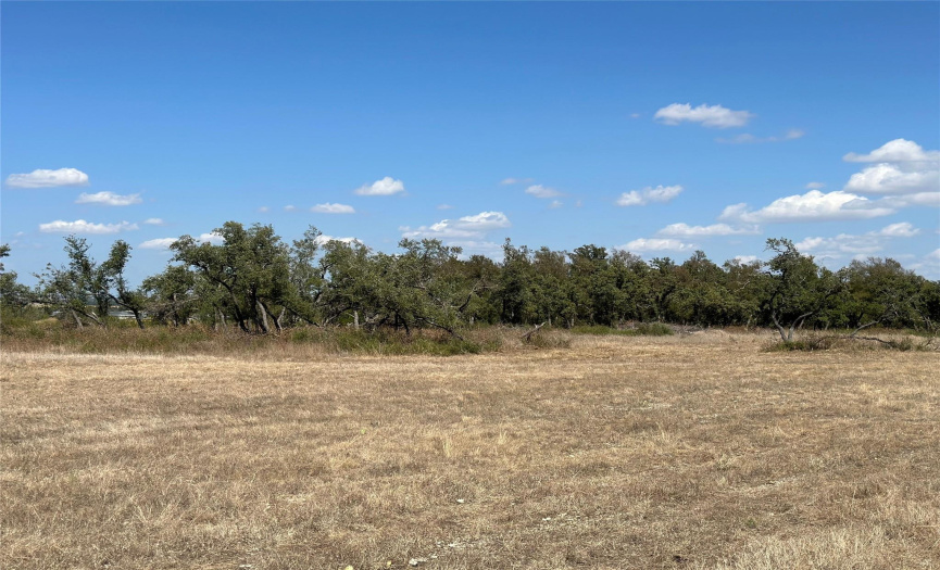 000 County Rd 130, Hutto, Texas 78634, ,Land,For Sale,County Rd 130,ACT8849229